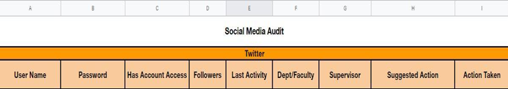 Social audit screenshot